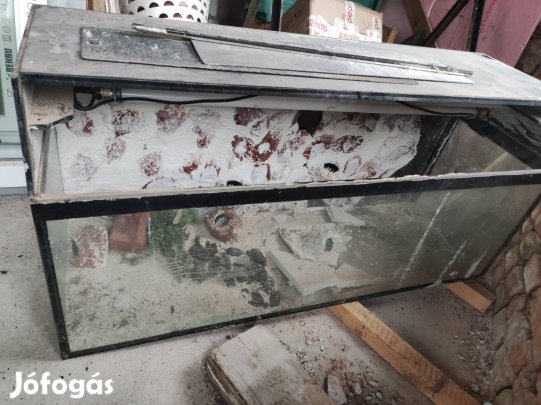 akvárium-terrárium. 