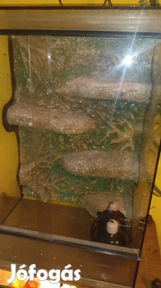 álló terrárium 