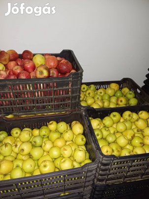 alma eladó Pesten 