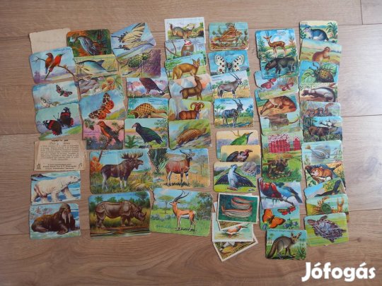 antik régi állatos gyűjthető kép kártya