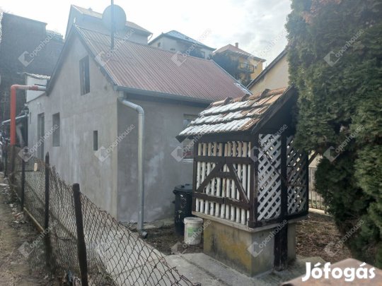 belvárosközeli családi ház