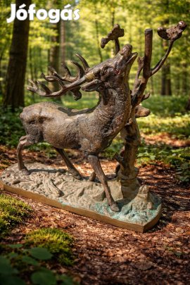 bronz szarvas eladó 