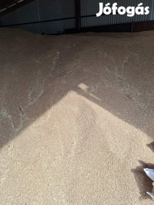 búza nagy tételben 68 ft