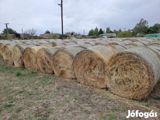 búzaszalma eladó