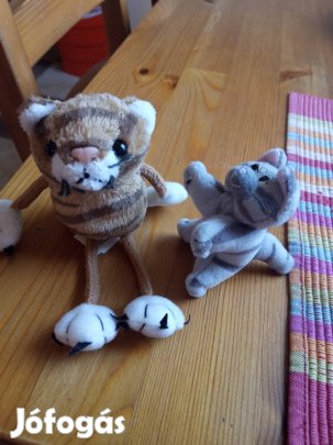 cica, macska, kicsi, 2 db együtt 