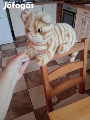 cica, macska, vörös, csíkos, hasaló 