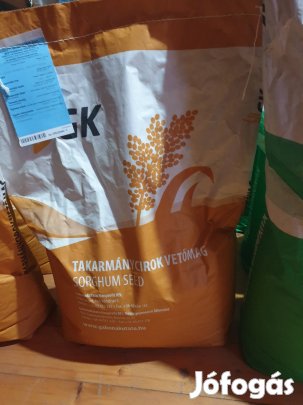 cirok  vetőmag 