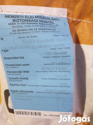 cirok x szudánifű vetőmag 