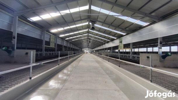 csarnok szerkezet géptroló