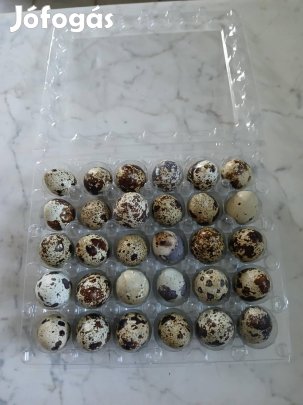 eladó fürjtojás 