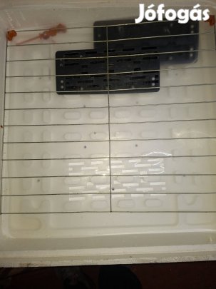 eladó keltetögep. és kakasok