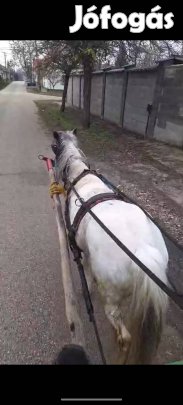 eladó vagy akár cserélhető is