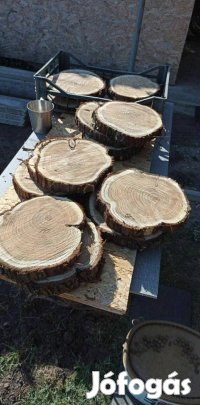 fa korong szelet dekoráció