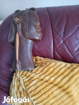 fafaragas tuneziabol szarmazik