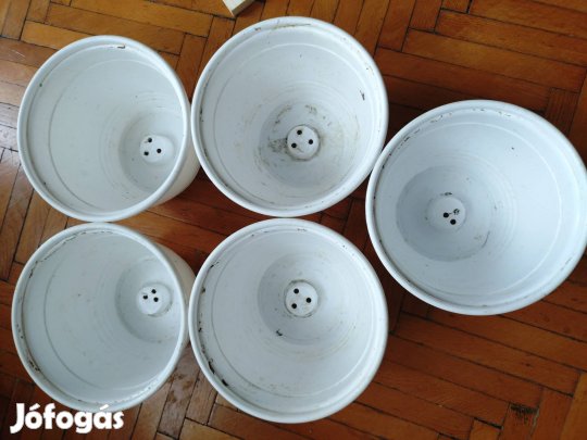 függő kaspó csomag