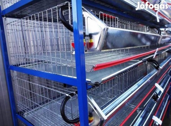 fürj ketrec kapható 