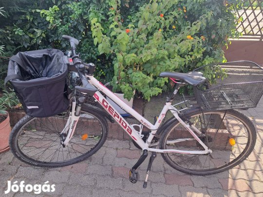 gepida alboin 300 crs noi kerekpar 48