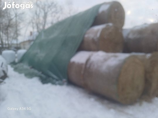 gyep széna / fű
