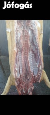 hizok elaladok élve vagy félbe vagva