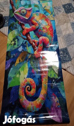 kaméleon ajtómatrica