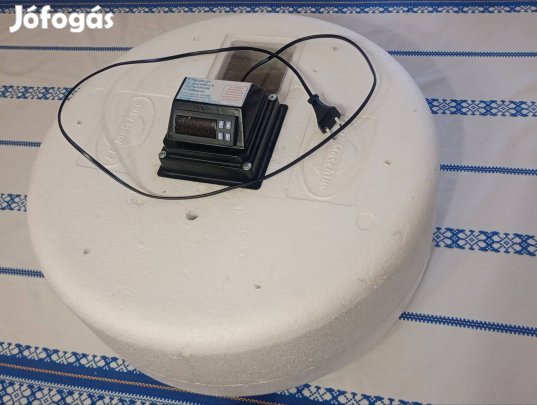 keltető tojás keltető 