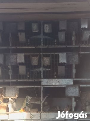 kis állat ketrec eladó 