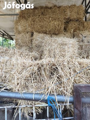 kisbálás búza szalma csere érdekel.