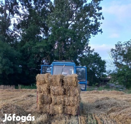kiskocka szalma eladó 