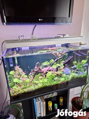 komplett akvárium 112L