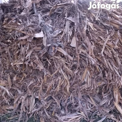 körbálás kóró eladó 