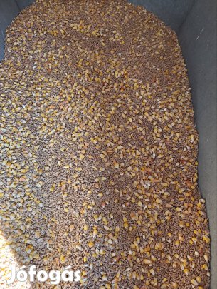 kukorica és búza eladó 