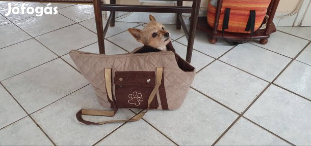 kutyahordozó Trixie