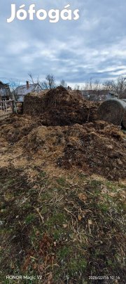 ló trágya ingyen elvihető 