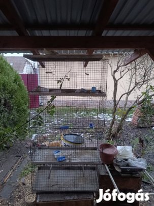 madar kalitka 70x30/130 