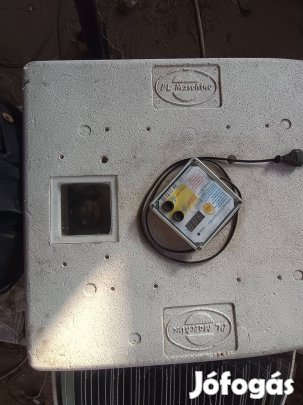 magyar keltető 100 db