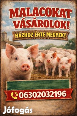 malacokat vásárolok !!