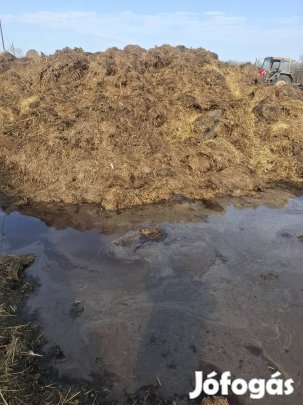 marha trágya szervestrágya nagy tételben 