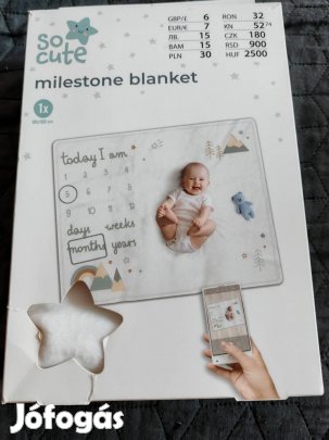 mérföldkő fotó takaró 
