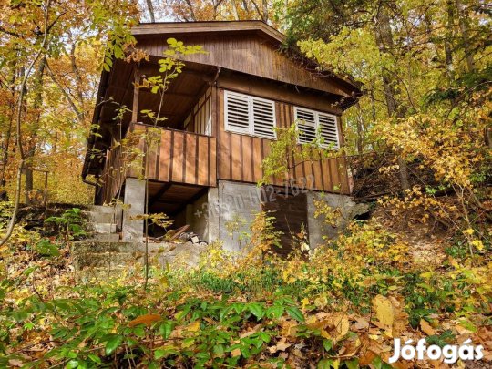 meseház az erdő ölelésében 11969_bhi
