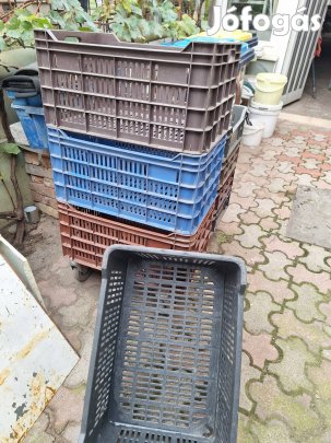 müanyag gyümölcs ládák, használt,de jó állapotban vannak?