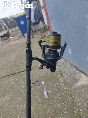 nagyhalas orsópáros