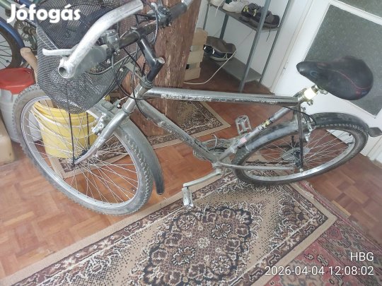 neuzer mountainbike,  bicikli, kerékpár 