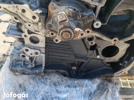 nissan x-trail, renault scenic motor 