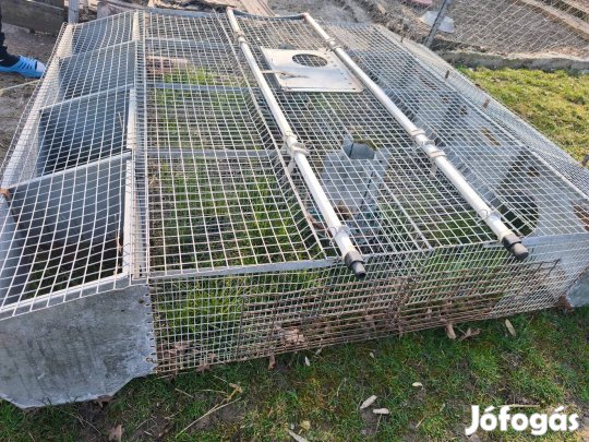 nyúl ketrec, fiataltató ketrec