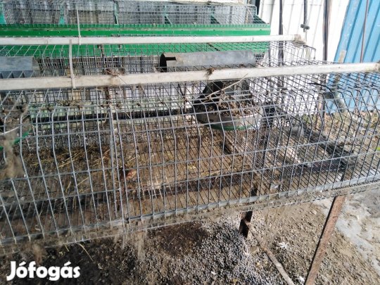 nyúl ketrecek fém ipari 