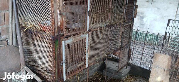 nyul ol 4 féröhejes