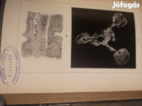 orvosi arhivumok 1899től 1942 ig 