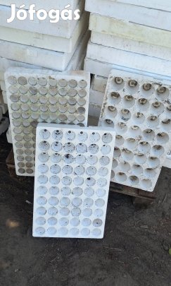 palánta nevelő tálca 