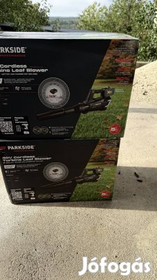 parkside performance 2akkus