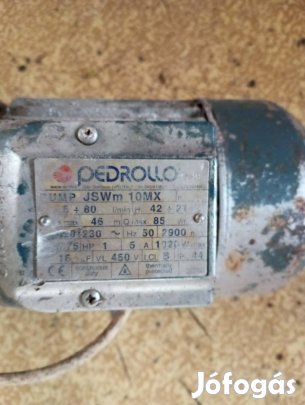 pedrollo szivattyú
